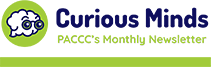 Curious Minds Newsletter